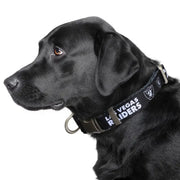 Las Vegas Raiders Premium Pet Collar