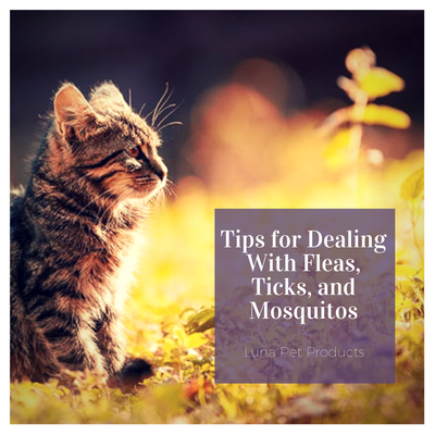 Fleas, Ticks, and Mosquitos