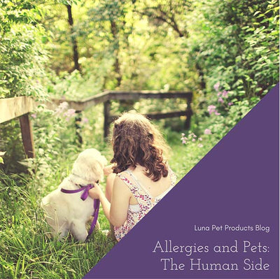 Allergies and Pets: The Human Side