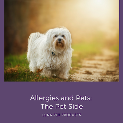 Allergies and Pets: The Pet Side