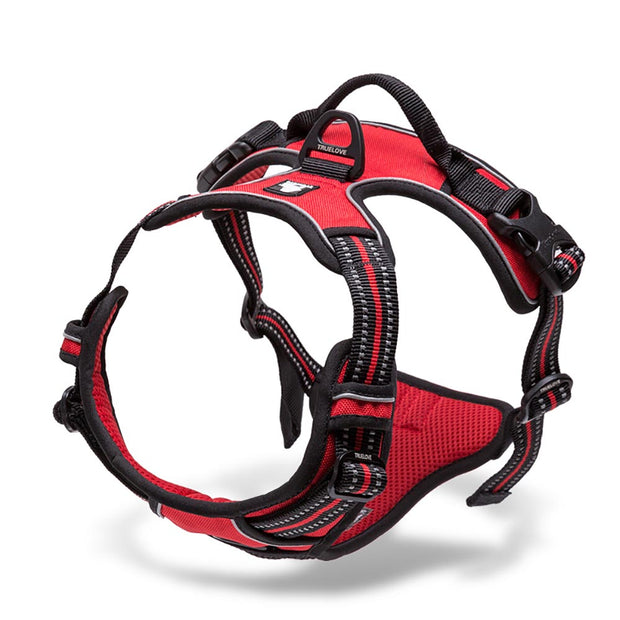 Reflective Safety Harness