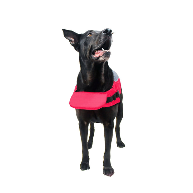 Dog Life Vest Flotation Device